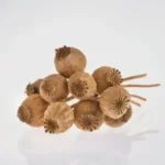 These drugs have powerful pain-relieving properties and are commonly used to manage severe pain, such as that associated with surgery, injury, or medical conditions like cancer.