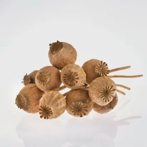 These drugs have powerful pain-relieving properties and are commonly used to manage severe pain, such as that associated with surgery, injury, or medical conditions like cancer.